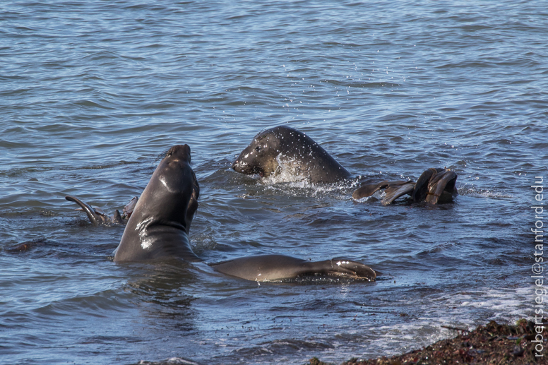 class at bight beach